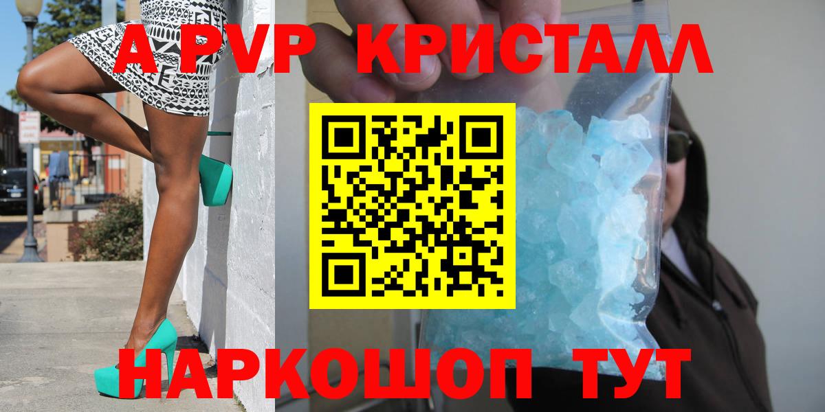 A PVP СК КРИС Вольск