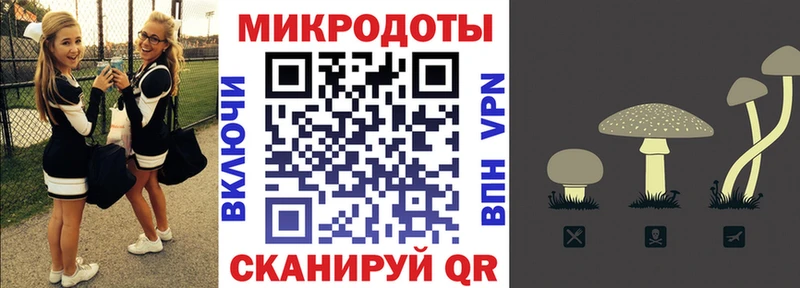 Псилоцибиновые грибы Psilocybe Вольск